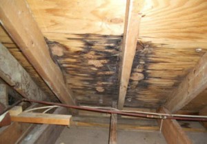 Leaking-Roof